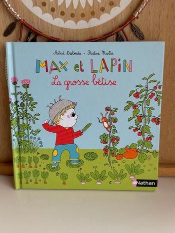 Livre Max et lapin la grosse bêtise 