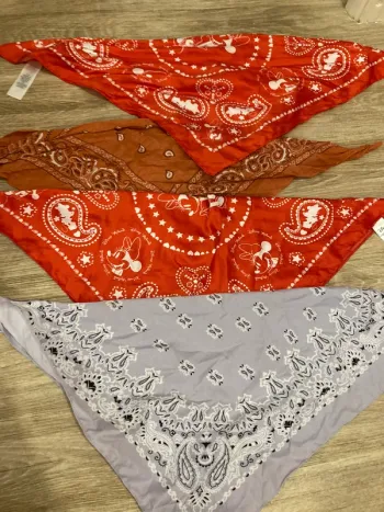 Lot 4 bandanas