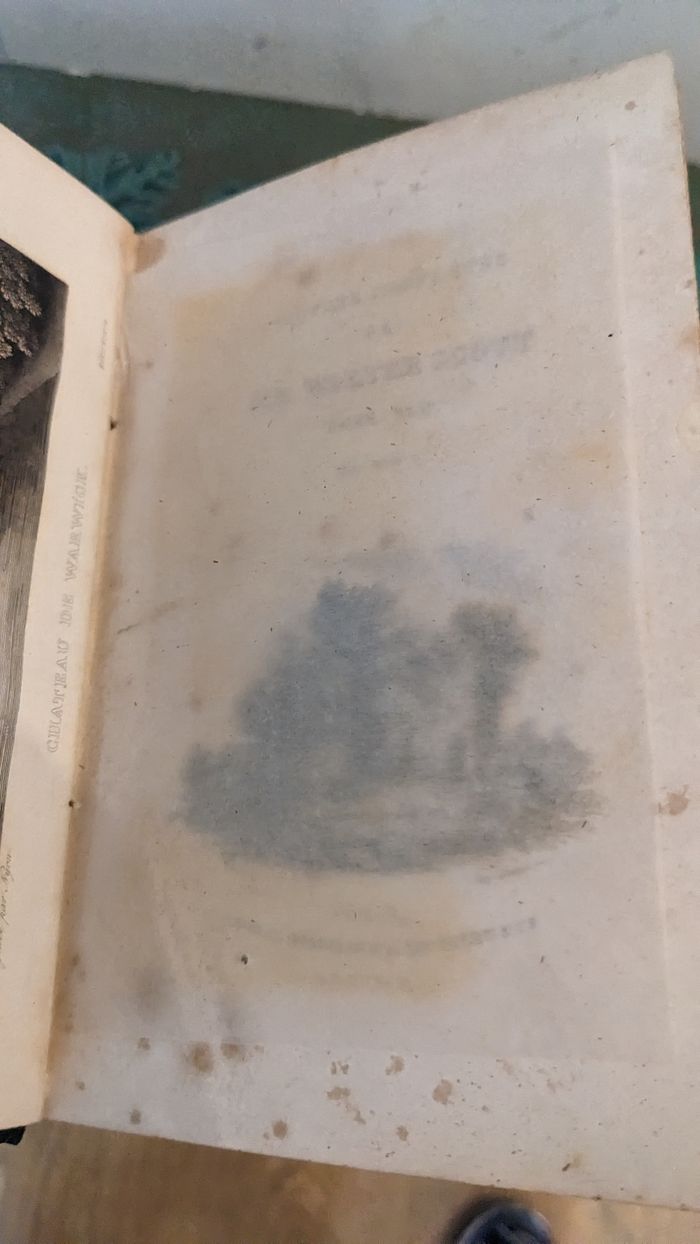 Lot de livres anciens " oeuvres complètes de Walter Scott" - photo numéro 10