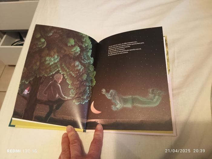 Mon arbre - photo numéro 3