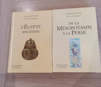Lot de 2 livres d'histoire