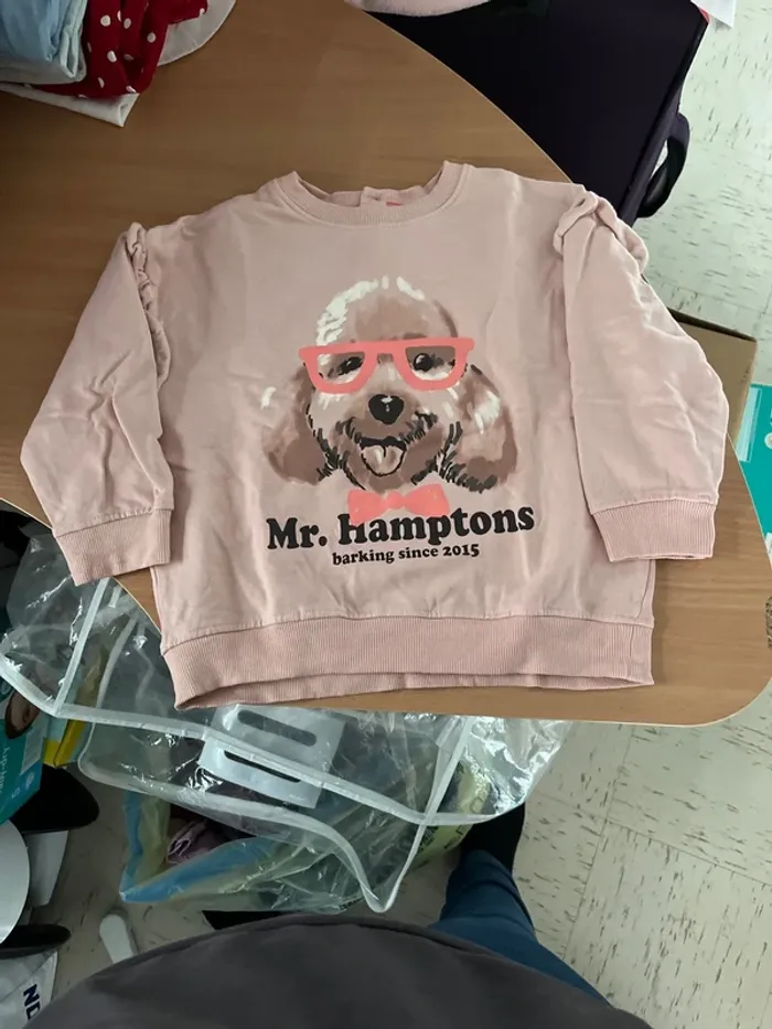 Pull chien