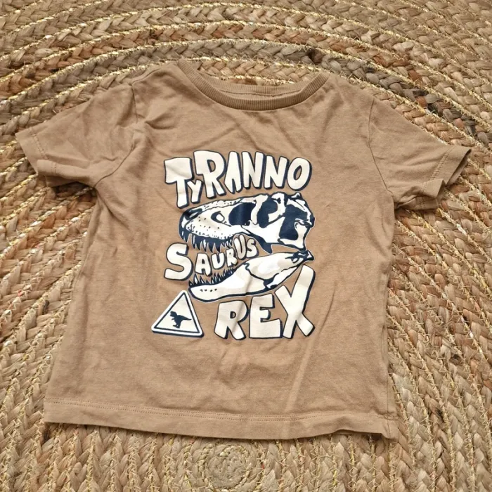 Lot 20 t-shirts 2 ans garçon - photo numéro 20