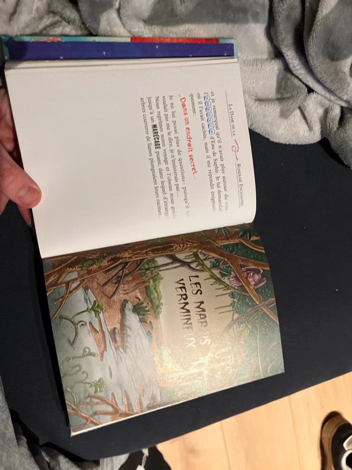 Livre pour enfants Geronimo stilton le royaume des sirènes - photo numéro 5