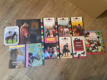 Lot de livres sur l’équation