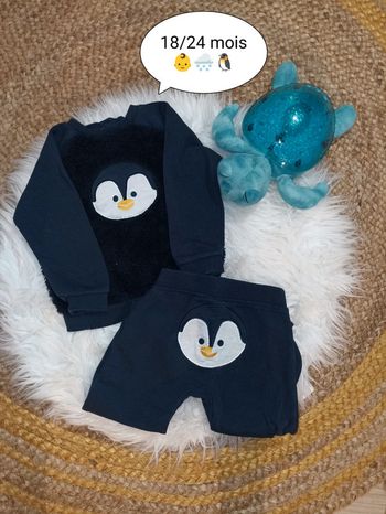 Ensemble pingouin