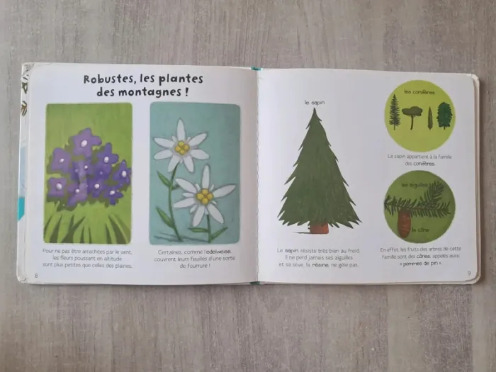 Livre Ma Baby encyclopédie Larousse la montagne - photo numéro 5