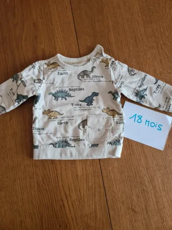 Pull dinosaure