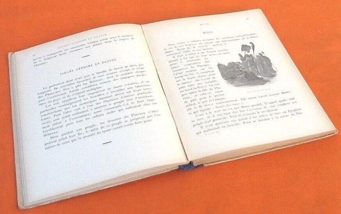 Chanoine Pinault La Sainte Bible racontée aux enfants (1911) - photo numéro 7