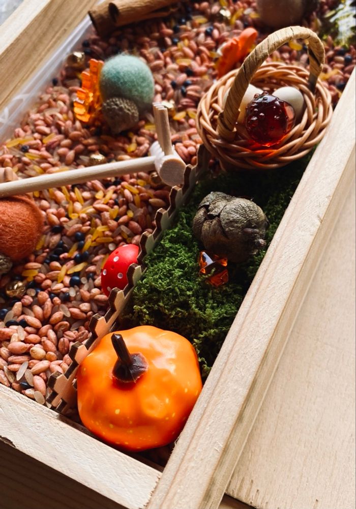 🍂Kit Montessori bac univers sensoriel – Thème Forêt automnale - photo numéro 5