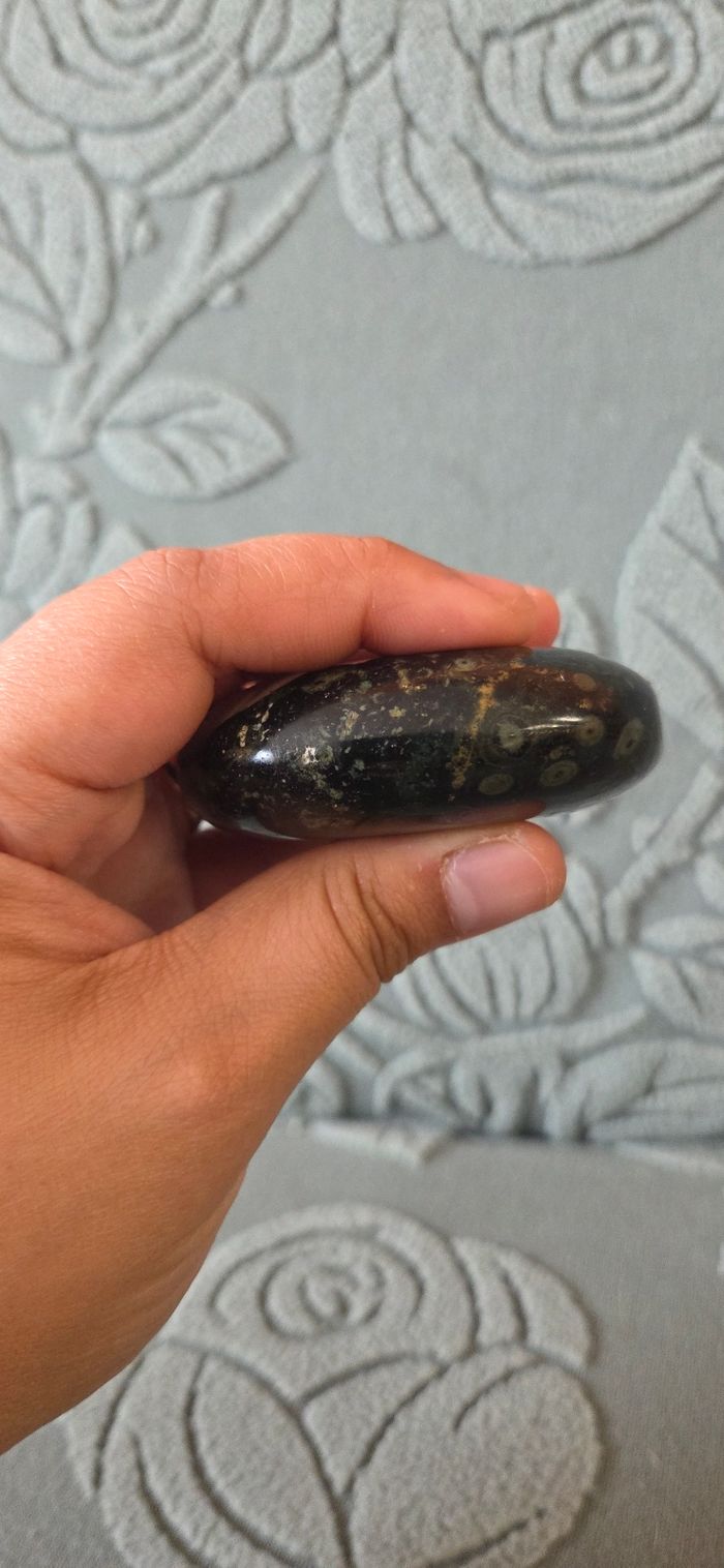 Kambaba Jasper - photo numéro 4