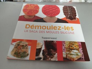 Livre démoulez les la saga des moules silicone Tupperware