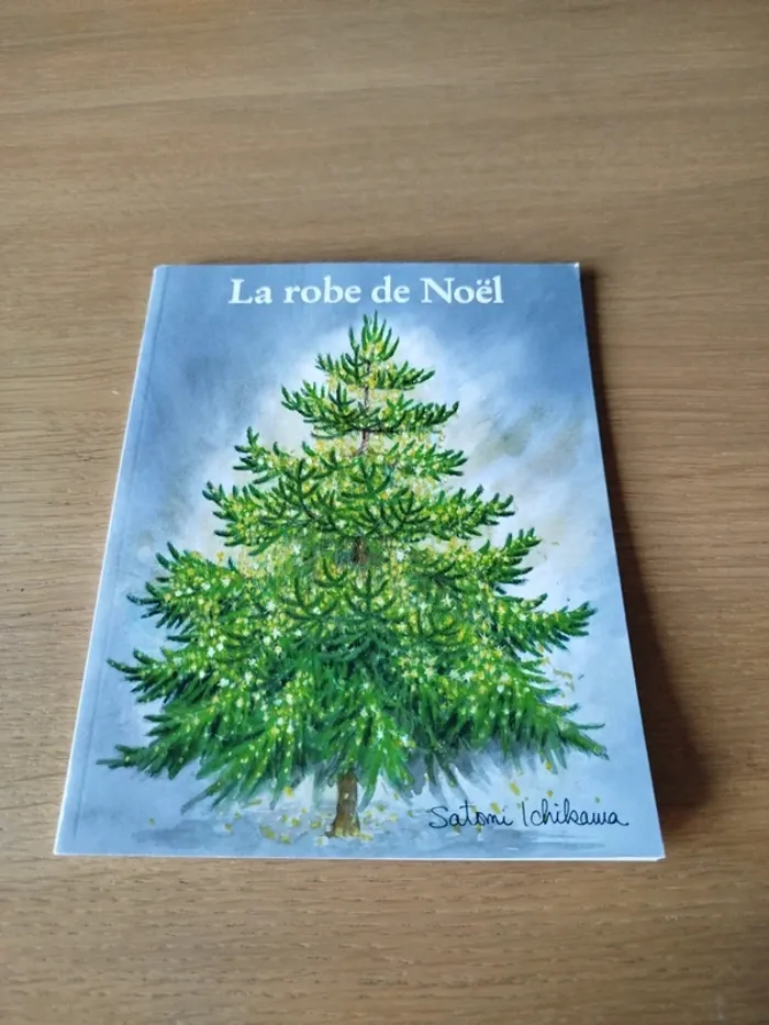 Livre La robe de Noël
