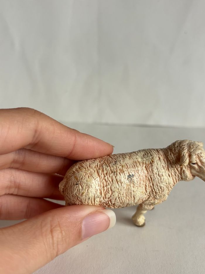 Mouton papo - photo numéro 3