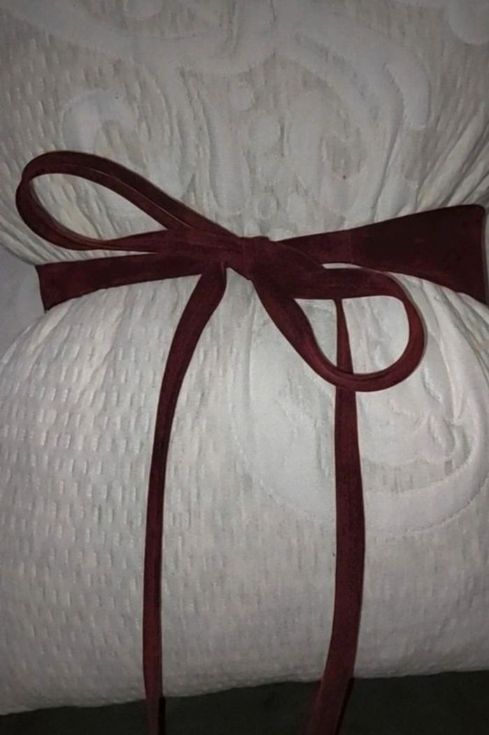 Ceinture velours - photo numéro 3
