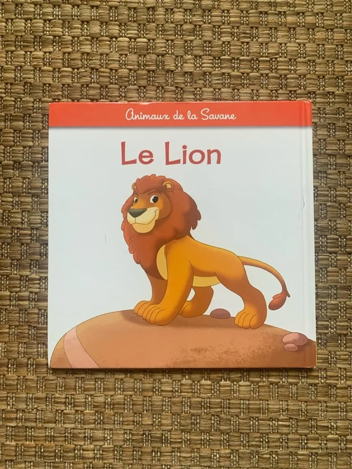 Le lion - photo numéro 3