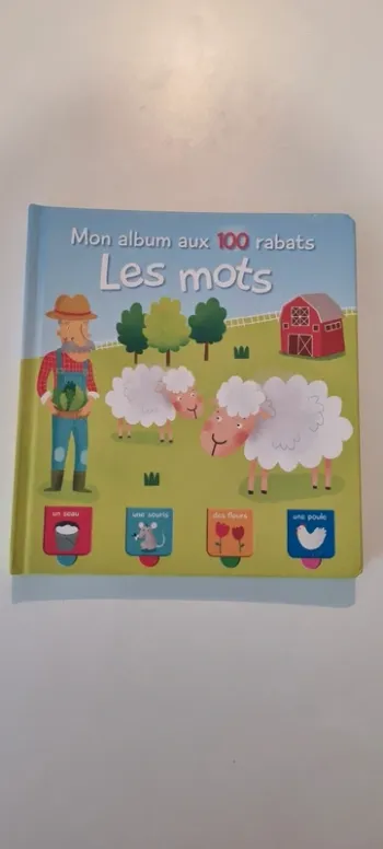 Livre Les Mots avec 100 rabats