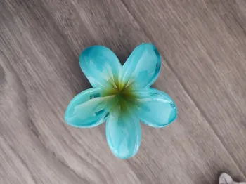 Pince fleur des îles bleu