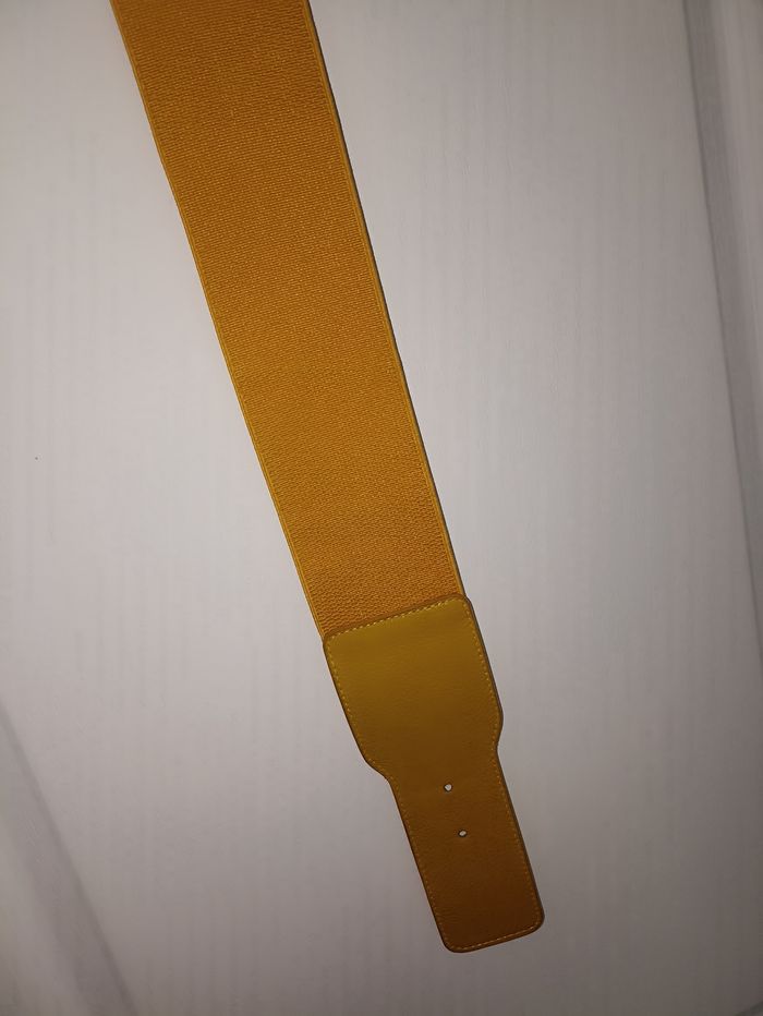Ceinture 42 et plus - photo numéro 2