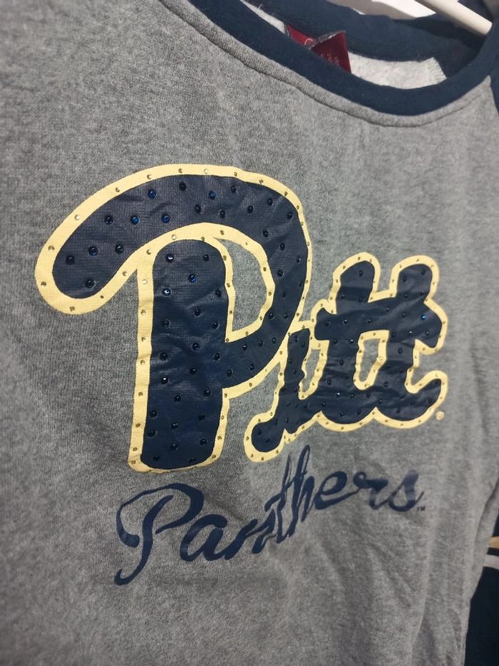 Pull/Sweat Vintage Colosseum Pitt Panthère - photo numéro 4