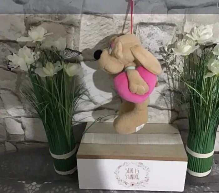 Lapin eluz - photo numéro 2