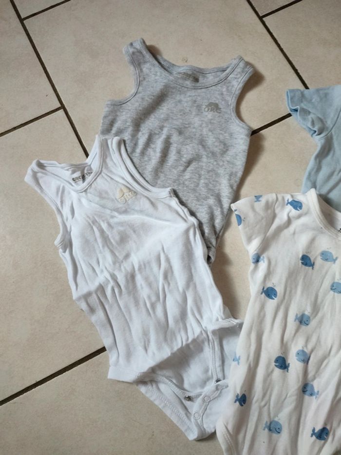 Lot body - photo numéro 2