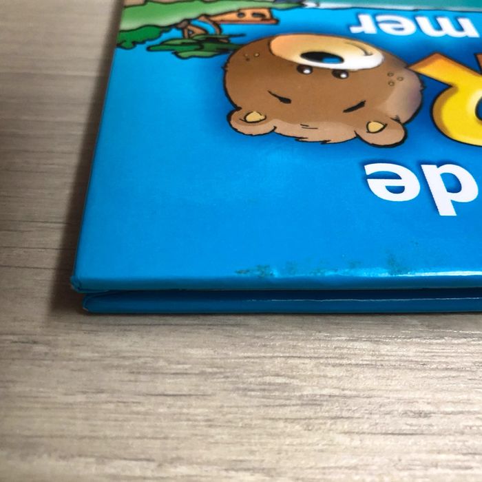 Livres Les aventures de Victor - photo numéro 5