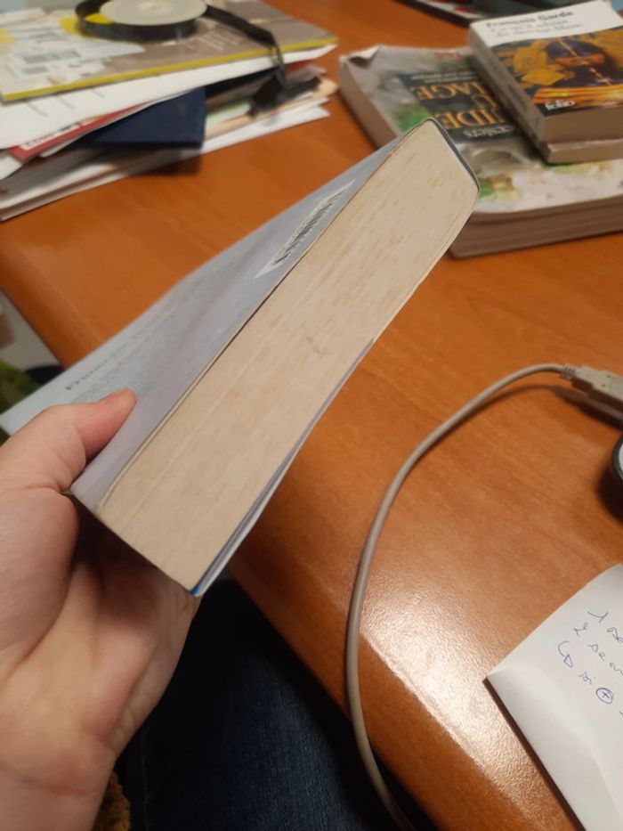 Livre bourdin - photo numéro 5