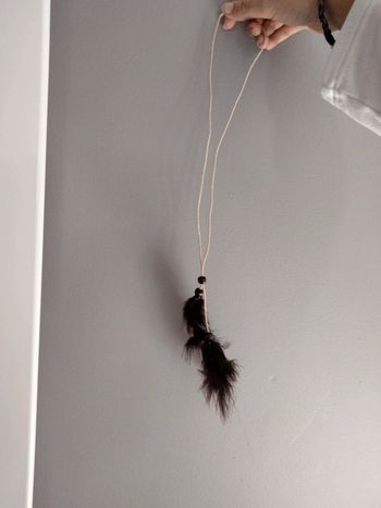 Collier plumes