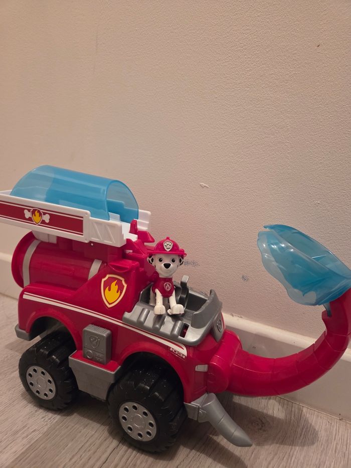 Marcus - photo numéro 2