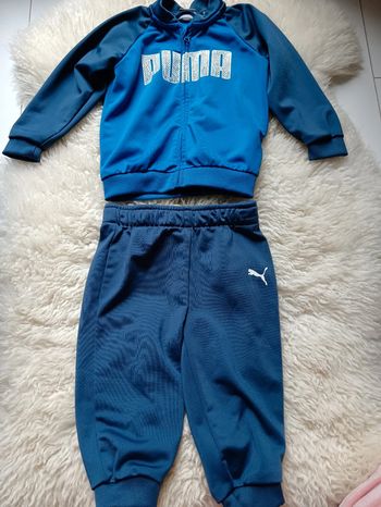 Ensemble Puma
