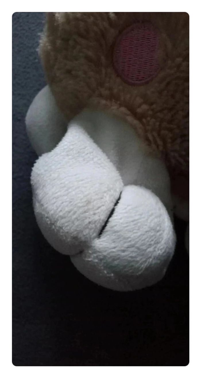 Peluche chien - photo numéro 4