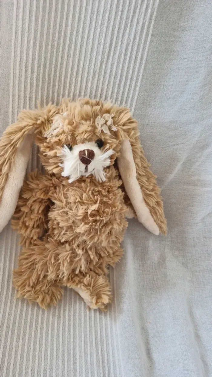 Lapin bukowski - photo numéro 4
