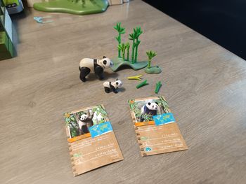 Playmobil wiltopia panda