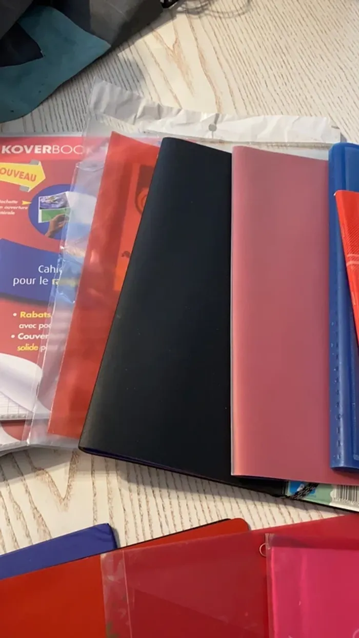 gros lot scolaires classeurs cahiers trieurs porte vues etc - photo numéro 4