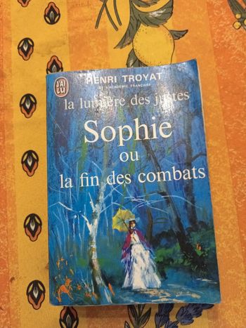 Livre sophie ou la fin des combats