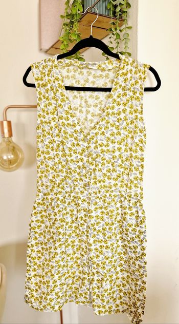 Robe T.S 36