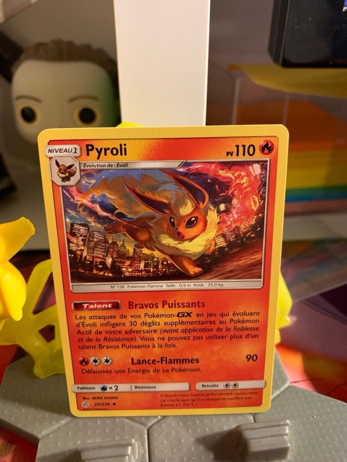 Pyroli CEC 025 - photo numéro 2