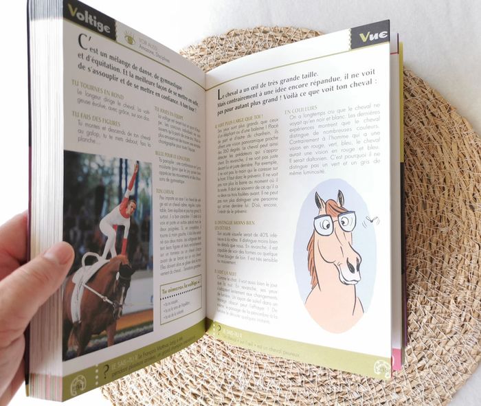 L'encyclopédie 🐴 de la cavalière qui veut tout savoir ! - photo numéro 7