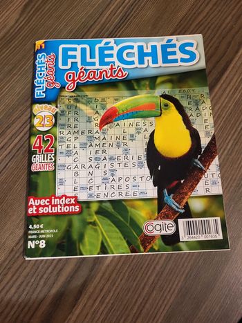 Fléchés géant n°8