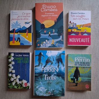 Lot 5 romans de Valérie Perrin et Bruno Combes 
