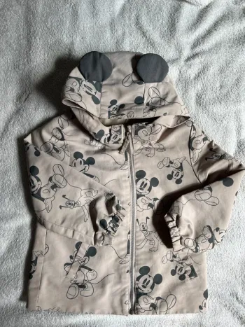 Coupe vent Mickey
