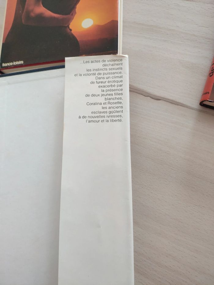 Tétralogie Robert Gaillard érotique historique chair cendre luxure volupté désir haine - photo numéro 10