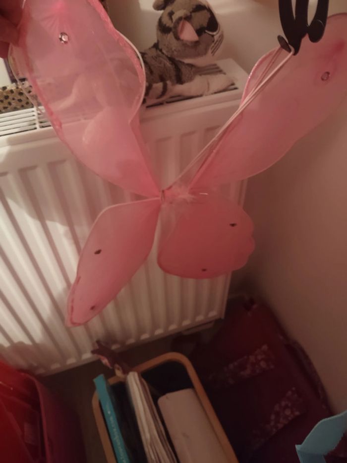 Ailes de papillon roses