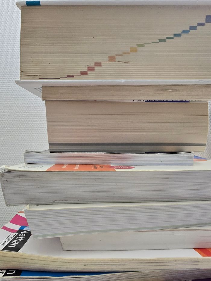 Lot de 31 Livres - photo numéro 2
