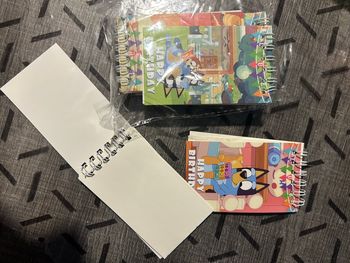 10 carnets Bluey 