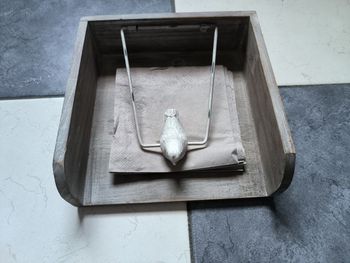 Porte serviettes en bois avec un oiseau 🐦