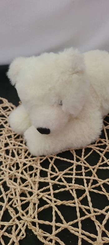 Écokins de l'ours polaire