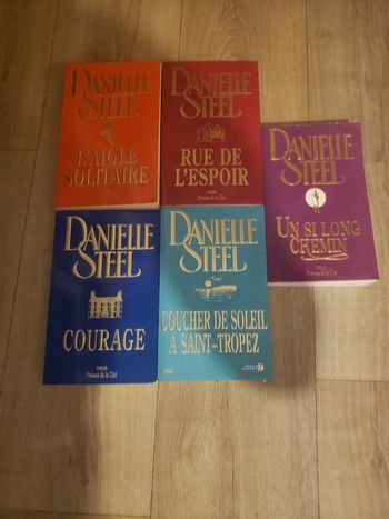Lot 5 livres Danielle STELL