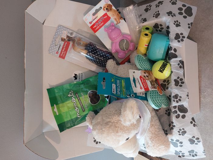 Coffret bienvenue pour chiot ou petit chien - photo numéro 7